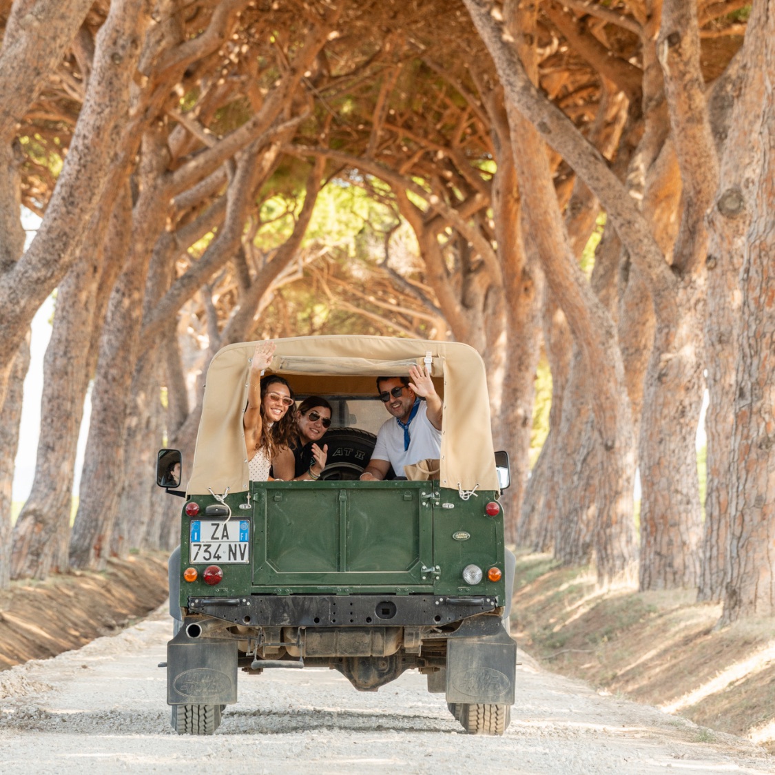 Guests waving from a vintage Land Rover under the umbrella pines