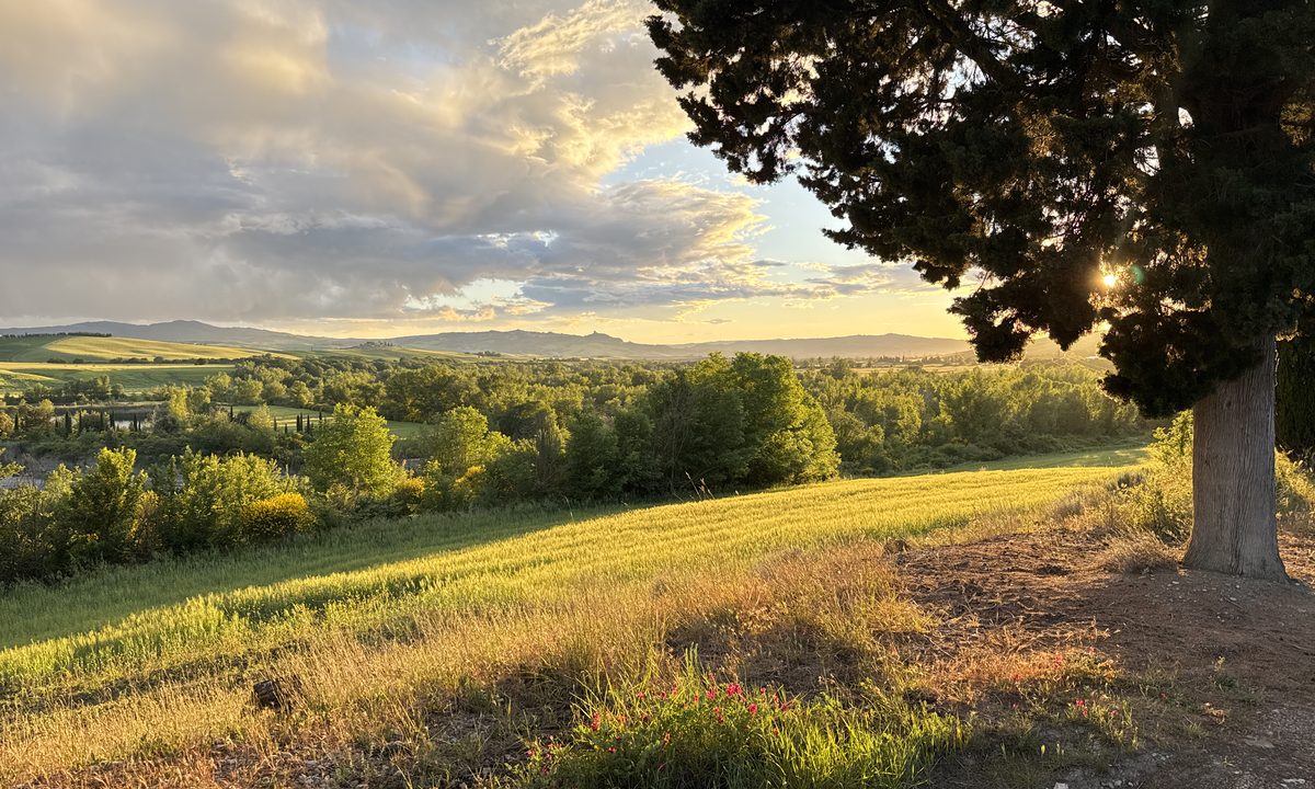 Golden evening light over the hills of the Val d'Orcia